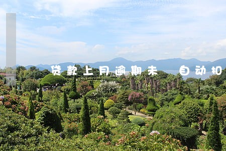 贷款上月逾期未 自动扣 贷款上月逾期未 自动扣